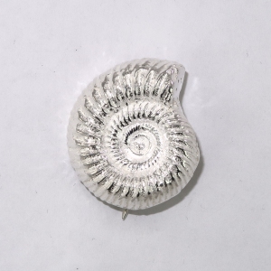 Silver ammonite brooch